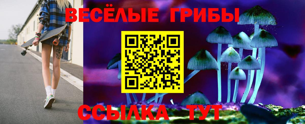 Галлюциногенные грибы MAGIC MUSHROOMS  Вход с VPN  Выкса 